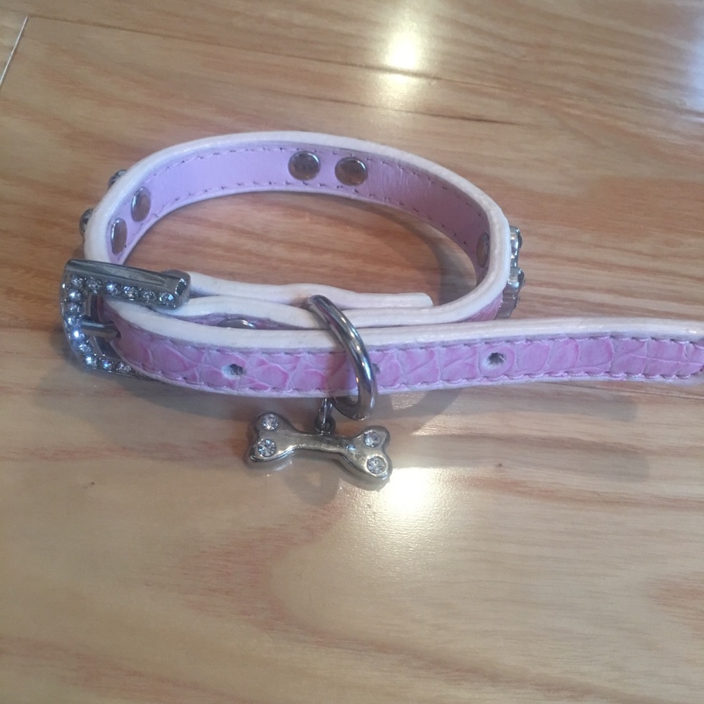 Pet dog collar